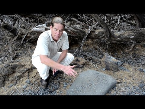 UFO Sightings 3000 Year Old Carvings Proof Of Ancient Alien Abduction? Watch Now 2013!