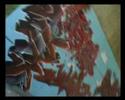 hip hop graffiti los jinetes del apocalipsis 10 a�os granada dando barraka prod