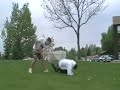 Brydan - A Beast