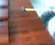 Assistir ao v�deo
