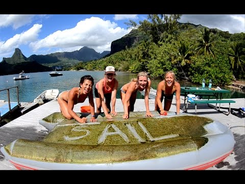 Want to be a marine biologist? (SAIL by AWOLNATION)