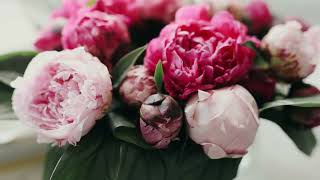 Коллекция «Агнес» - тихое сияние бутонов роз на искусно выполненном гобелене.