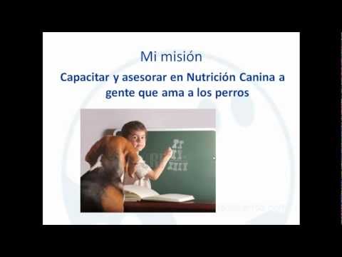 Cursos Nutrición de perros