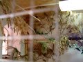 My (new) bird room 3.