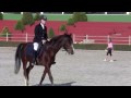 Yolanda Chatland Dressage Competition 19-12-09