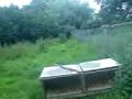 vidéo ferme nocé N° 3 vidéo ferme nocé N° 3