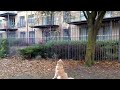 close encounter
