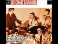 video dick rivers et les chat sauvages      les bras