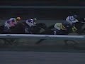 1994 Sprinters Stakes - Hishi Akebono