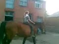 me and my bestfriends horse x