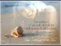 o xis da can��o
