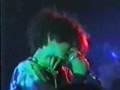 the telescopes - the perfect needle