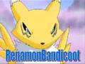My new profile: RenamonBandicoot