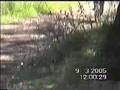 creek hooligans 3
