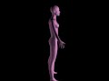 Female model