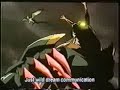 especial-canal-plus-parte-04-hospital-central.html