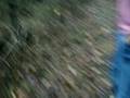 videos de Norman Runs Away With Luke Pt. 1