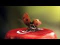 Reklama Coca-Cola