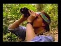 brazil-for-travelers-amazon-rainforest.html