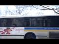 Bee Line : Neoplan AN-460 Transliner Articulated 516 On Route 60