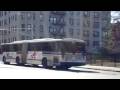 Bee Line : Neoplan AN-460 Transliner Articulated 516 On Route 60