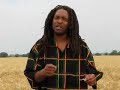 wayne passion in the wheat field