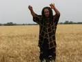 wayne passion in the wheat field