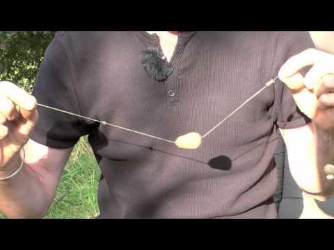 Tight lines and shocker rigs, Oct 2012