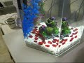 Betta in New Eclipse 5 Gallon Hex Aquarium