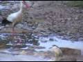 badajozventana a la naturaleza en el guadiana  extremadura 