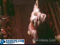 tara reid sex teaching -yummy www.goosips.com