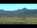The Legacy of Cattle in Colorado Part 2.mp4