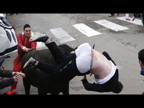 DUDE GETS GORED BY A BULL WHILE RUNNING WITH SAID BULL IN SPAIN!