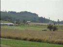 MICHAELSFARM SUMMER 2008