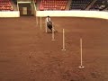 Mandy Running poles at Quarter Horse Congress