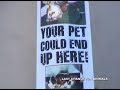 Anonymous Submission: A banner gets dropped off a research lab at CalTech in support of World Week For Animals! www.worldweekforanimals.com