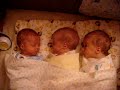 ella & logan dueling hiccups with paul as an innocent bystander...
check out updates at www.paulandchristi.com