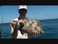 Barramundi Cod!!  Awesome!!