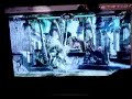 劍魂四 SC4 野合? Part1