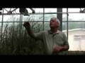 Kansas Tour - The Land Institute
