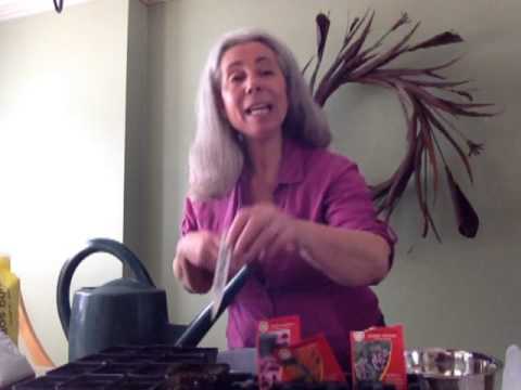 how to grow milkweed