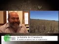 PLANTA EXPERIMENTAL BAYER EN CHACABUCO - CONTAMINACION CERO