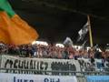 TSV 1860 Amateure in Mannheim