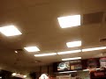 dunkin donuts chanchos lol