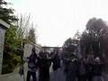 El Baile De Las Chinches B.S.O