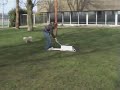 Flyball