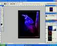 videos de Photoshop - Degradados  de color.