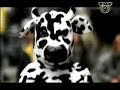 Beatbusters ft. Def P - Stad & Land