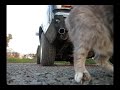 Ford on board.wmv