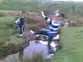 Decky fawin in the watter Decky fawin in the watter